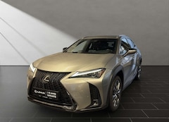 Bild des Angebotes Lexus UX 250h 250h*F-SPORT-D.*1HD*NAVI*LEDER* SHZ*CARPLAY*