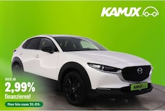Bild des Angebotes Mazda CX-30 2.5eSKYACTIV-G Aut.Homura+LED+NAVI+SHZ+PDC