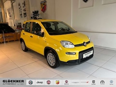 Bild des Angebotes Fiat Panda Pandina