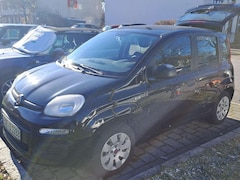 Bild des Angebotes Fiat Panda Panda/Pandina 1.2 Easy