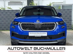 Skoda Kodiaq 2.0 TDI DSG,4x4,AHK,7-SITZER,360,MATRIX