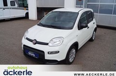 Bild des Angebotes Fiat Panda Base Klima I Bluetooth I DAB I Mild-Hybrid