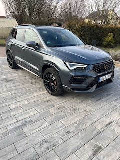 Bild des Angebotes CUPRA Ateca Basis 4Drive