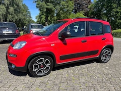 Bild des Angebotes Fiat Panda 1.0 Mild-Hybrid City Life