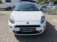 Bild des Angebotes Fiat Punto Pop