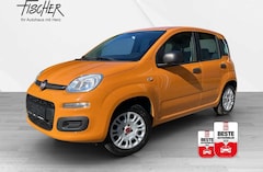 Bild des Angebotes Fiat Panda PDC Klima Radio Easy  Easy