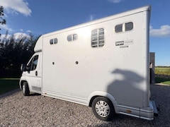 Bild des Angebotes Peugeot Boxer Pferdetransporter