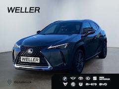 Bild des Angebotes Lexus UX 250h Executive Line *HUD*Leder*GSD*CAM*el Heck*