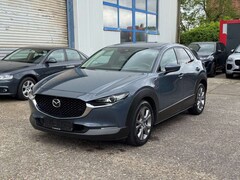 Bild des Angebotes Mazda CX-30 /LED/Leder/H-Up/360/Bose/ACC