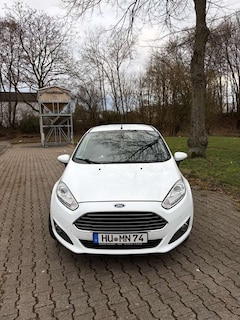 Bild des Angebotes Ford Fiesta 1.0 EcoBoost Titanium