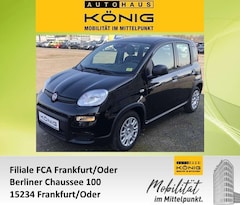 Bild des Angebotes Fiat Panda MY24 1.0 Klima PDC Citypaket