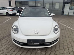 Bild des Angebotes VW Beetle Cup