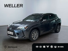 Bild des Angebotes Lexus UX 300e *sofort*CarPlay*Tempomat*Klimaaut*LMF*