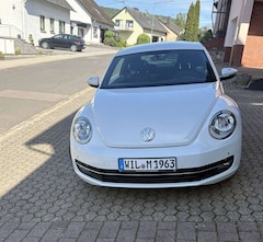 Bild des Angebotes VW Beetle The Beetle 1.4 TSI