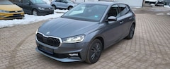 Bild des Angebotes Skoda Fabia Tour