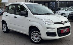 Bild des Angebotes Fiat Panda TÜV AU NEU*KLIMA*USB*ISOFIX*EURO6*
