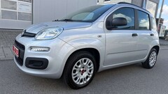 Bild des Angebotes Fiat Panda 1.2 TÜV,KLIMA,1-HAND,22.000KM