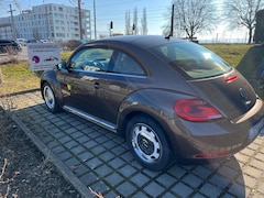 Bild des Angebotes VW Beetle Design