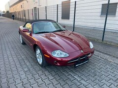 Bild des Angebotes Jaguar XK8 Cabrio