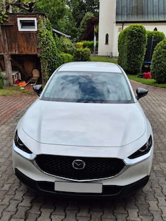 Bild des Angebotes Mazda CX-30 Homura 2WD