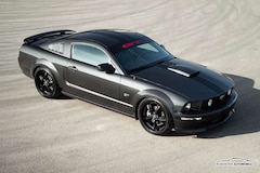 Ford Mustang 4,6 V8 GT Coupé Schalt. R20 Xenon