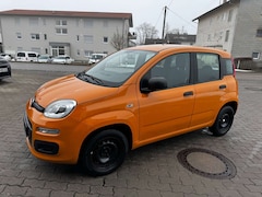 Bild des Angebotes Fiat Panda Panda 1,2 8V Easy