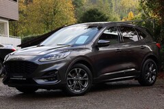 Bild des Angebotes Ford Kuga 1.5 EcoBoost/ST-Line/AHK/ACC/KAM/WINTER/SWA