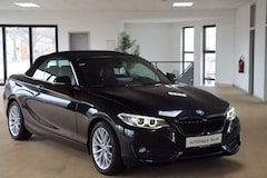 Bild des Angebotes BMW 228 i  Cabrio Sport L Navi*Appl/Android*PDC*Xenon
