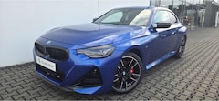 Bild des Angebotes BMW 240 xDrive Sport-PRO Sommer19'' PA+ Hifi AG+ AdLED WLA