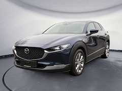 Bild des Angebotes Mazda CX-3 0 Selection Automatik Design-PaketLED