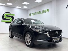 Bild des Angebotes Mazda CX-30 Selection / R KAM / ACC / SHZ / HuD