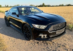 Bild des Angebotes Ford Mustang 2.3 EcoBoost *Aut. *Leder *Sternhimmel