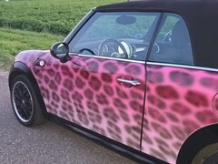 Bild des Angebotes MINI Cooper Cabrio