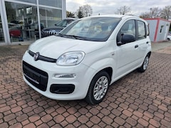 Bild des Angebotes Fiat Panda LPG Autogas