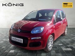 Bild des Angebotes Fiat Panda MY25 1.0 70PS Eurostar Klima PDC