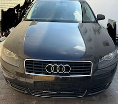 Bild des Angebotes Audi A3 audi a3 Sport back 2.0 TDI zahnriemen neu. …….