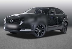 Bild des Angebotes Mazda CX-30 G 140 Homura 8-fach bereift