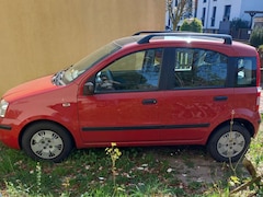 Bild des Angebotes Fiat Panda Panda 1.2 Dynamic