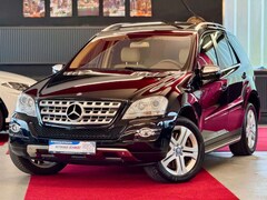 Bild des Angebotes Mercedes-Benz ML 500 Offroadpaket AHK Airmatic Glasdach Comand