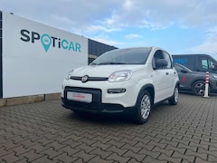 Bild des Angebotes Fiat Panda Pandina Cross