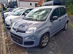Bild des Angebotes Fiat Panda Easy / Klima / Alufelgen / TÜV neu