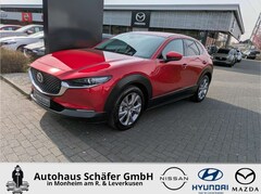 Bild des Angebotes Mazda CX-30 Selection HUD Navi Soundsystem Bose 360 Kamera LED