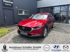 Bild des Angebotes Mazda CX-30 Selection HUD Navi Soundsystem Bose 360 Kamera LED