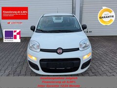 Bild des Angebotes Fiat Panda Pop 1.2/Klima/1-Besitzer