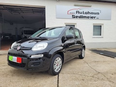 Bild des Angebotes Fiat Panda Easy