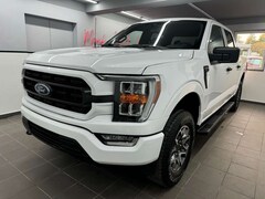 Bild des Angebotes Ford F 150 3.5 V6 Eco STX Crewcab/5.5FT -Box/LKW/AHK
