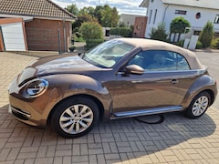 Bild des Angebotes VW Beetle The Beetle Cabriolet 2.0 TDI DSG Exclusive Design