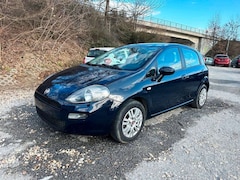 Bild des Angebotes Fiat Punto 1.2 POP + Klima + 4-türig + gepflegt
