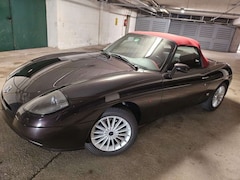 Bild des Angebotes Fiat Barchetta Limited Edition Rieviera Maggiora