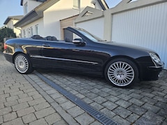 Bild des Angebotes Mercedes-Benz CLK 200 Cabrio Kompressor Automatik Avantgarde Sport Editi